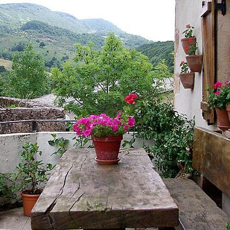 Casa Rural Parriola Villanueva de Arce ภายนอก รูปภาพ