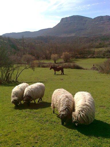 Casa Rural Parriola Villanueva de Arce ภายนอก รูปภาพ