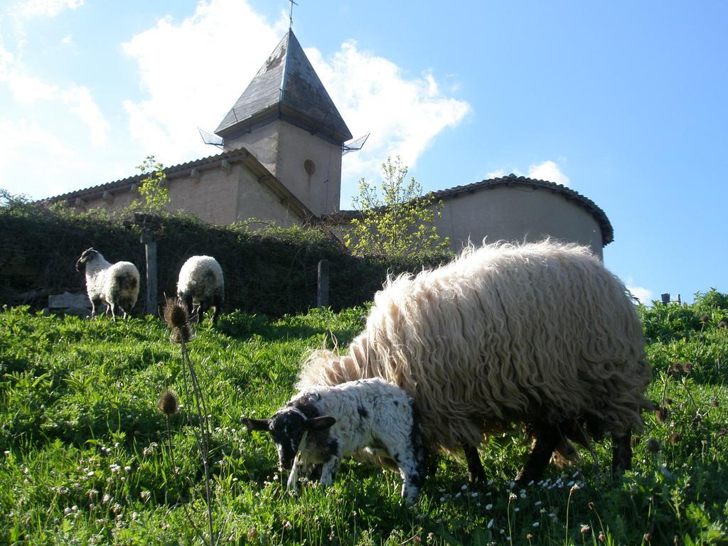 Casa Rural Parriola Villanueva de Arce ภายนอก รูปภาพ